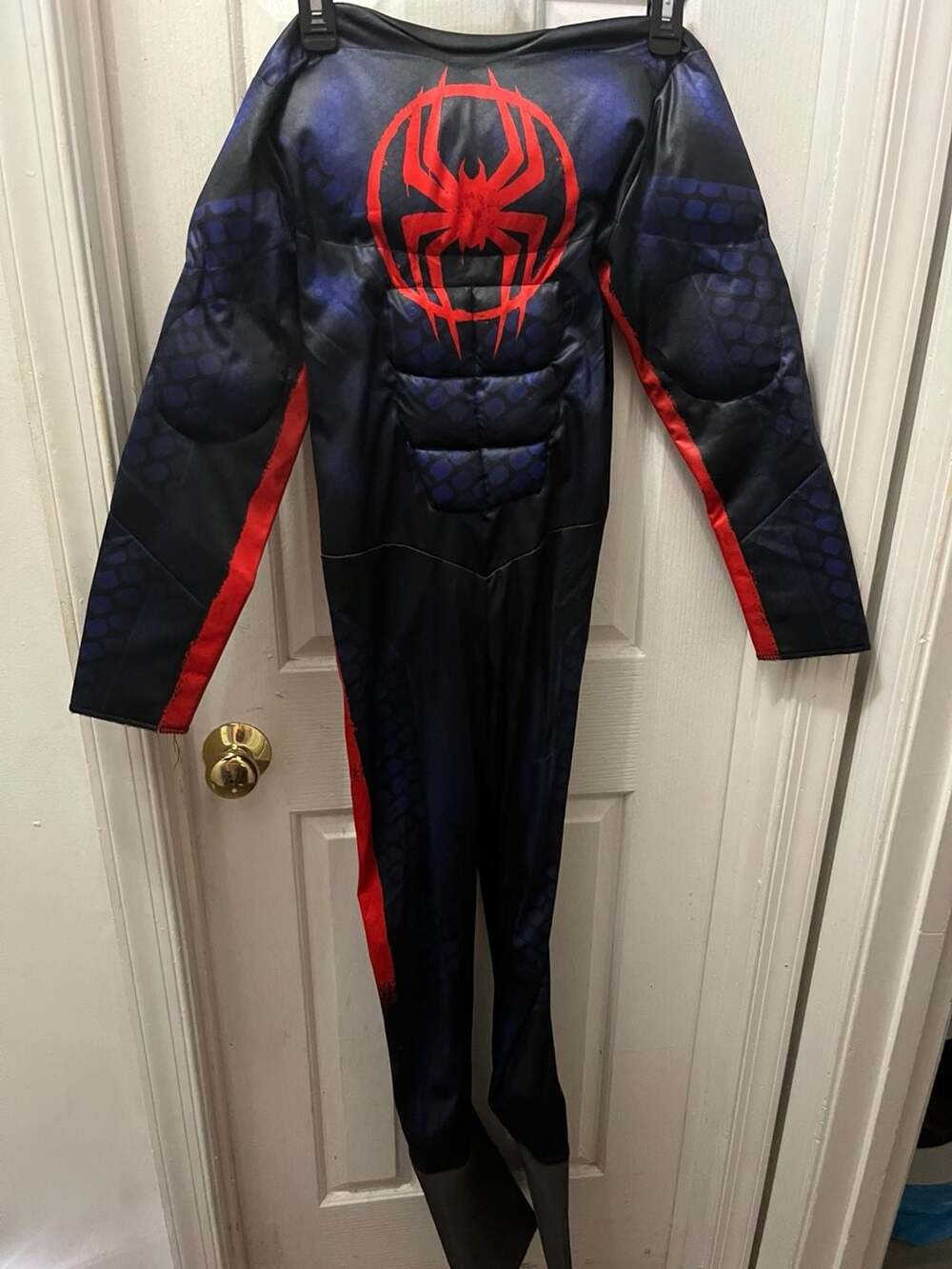 Spider-Man Across The Spider-Verse Costume Size L Boys